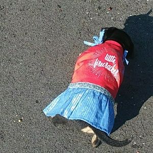 Meet your Posher, Caitlin